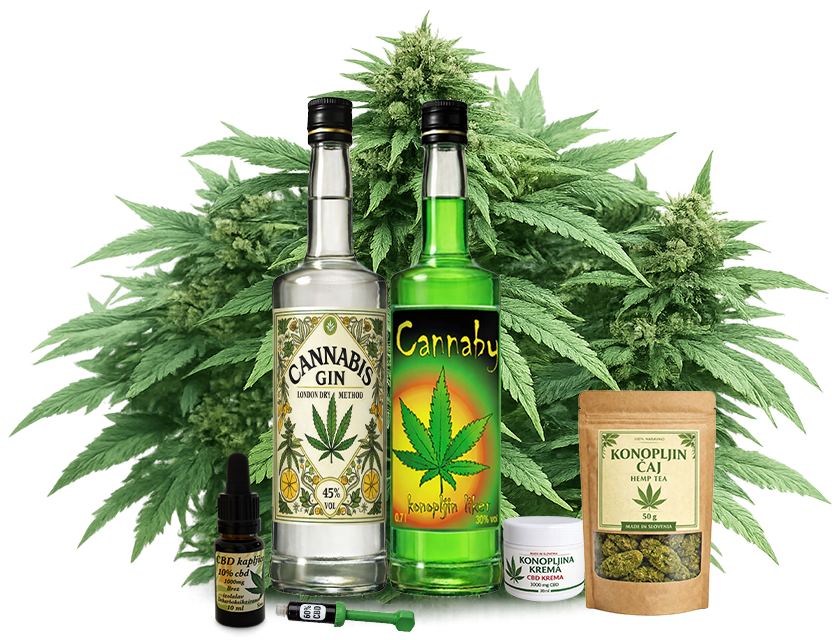 Naravni konopljini in cbd izdelki: CBD kapljice, konopljina smola, konopljin čaj, konopljina krema, konopljin liker in Cannabis gin